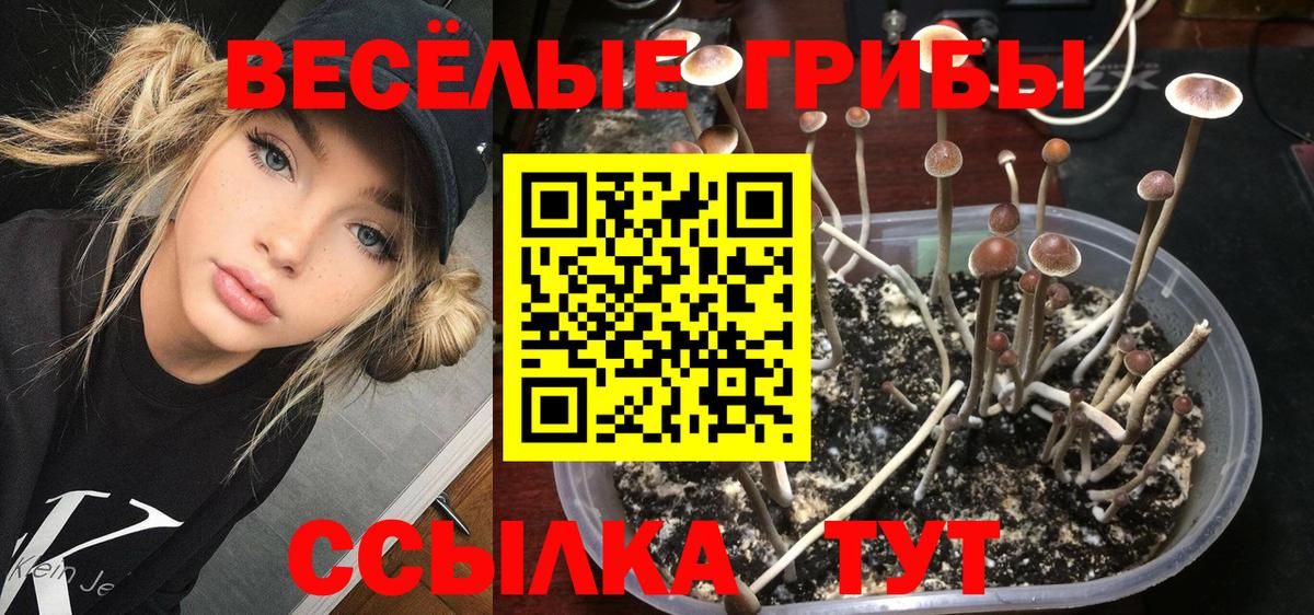 Псилоцибиновые грибы ЛСД  Вход с VPN  Псилоцибиновые грибы мицелий  Сертолово 